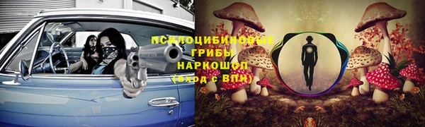 не бодяженный Елабуга