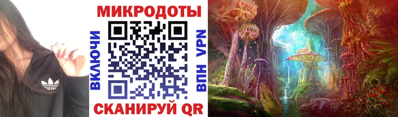 Галлюциногенные грибы прущие грибы Пойковский