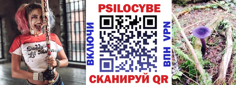 Галлюциногенные грибы Cubensis  Пойковский 